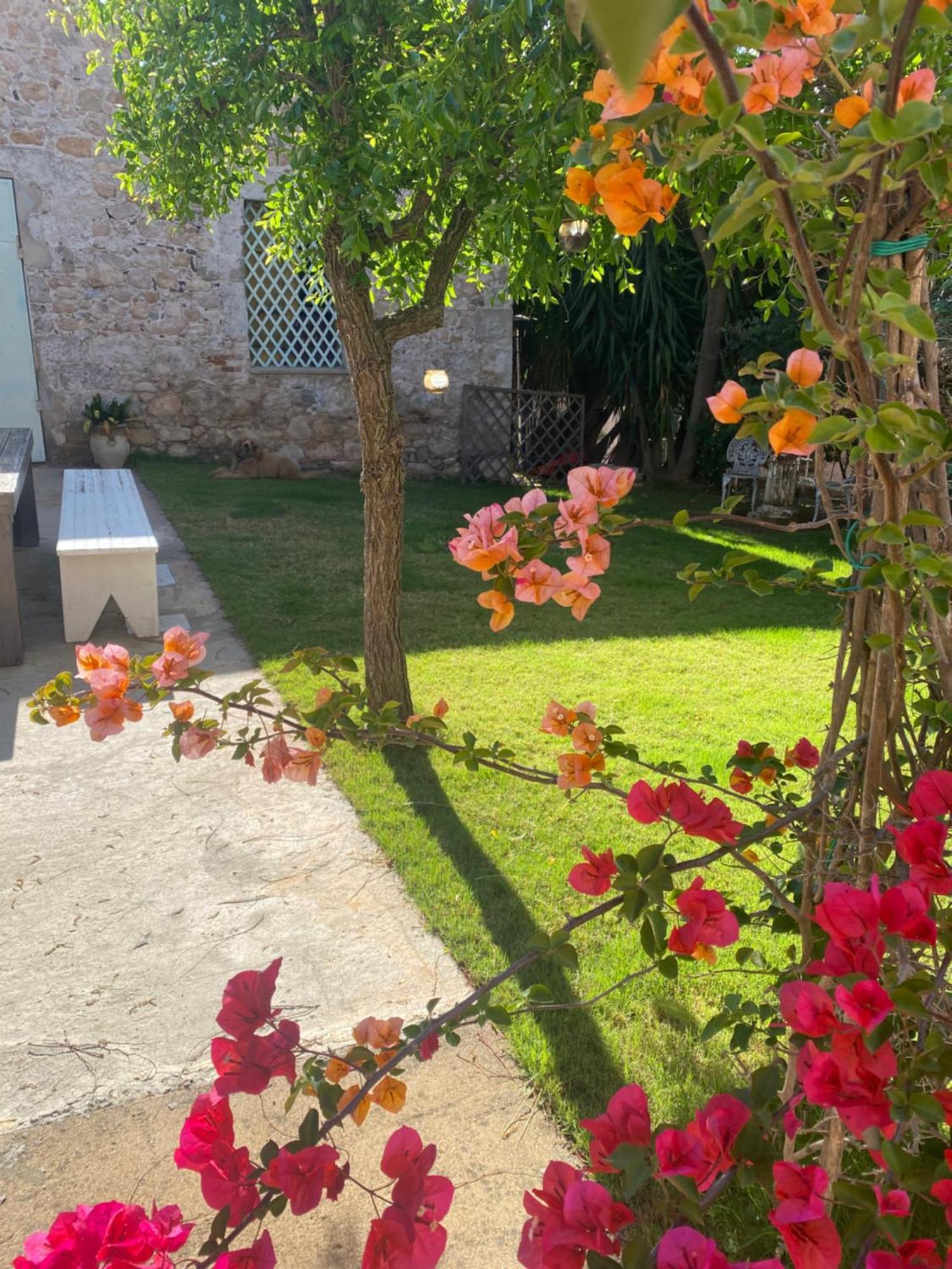 Corte Boero Bed&Breakfast Capoterra Exterior photo